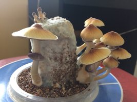 F92CD3EF-13DA-491E-BEE3-F202CA3A42E0.jpeg
