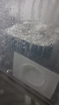 casing porto rico 2.jpeg