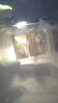IMG_20200826_012833904.jpg