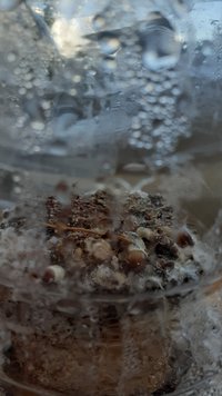 20200826_122006.jpg