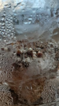 20200826_121949.jpg