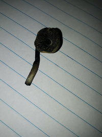 _052323.jpg