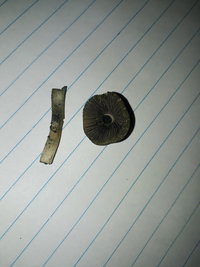 20200827_182235.jpg