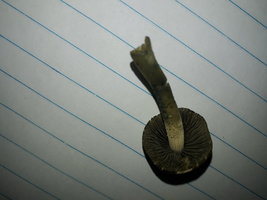 20200827_181554.jpg