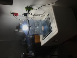 IMG_0474.jpeg