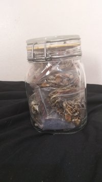 20200903_154234.jpg
