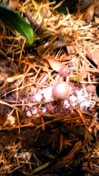 P_20200906_105655_EFF.jpg