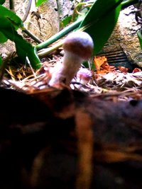 P_20200906_105551_EFF.jpg