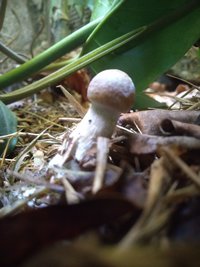 P_20200906_105330.jpg