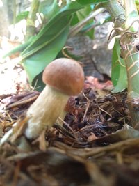 P_20200906_163851.jpg