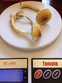 E3AF2DBA-6849-4F35-877A-DF14F9F97CE8.jpeg