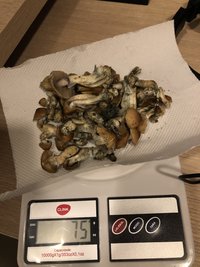IMG_4980.jpg