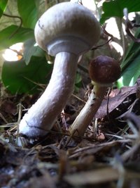 P_20200907_155140.jpg
