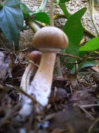 P_20200907_155117.jpg