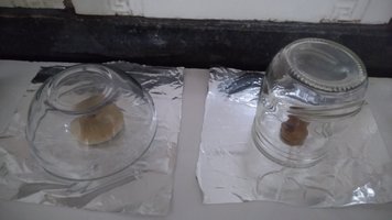 P_20200908_073812.jpg