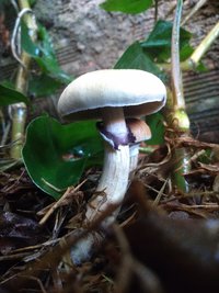 P_20200908_072124.jpg