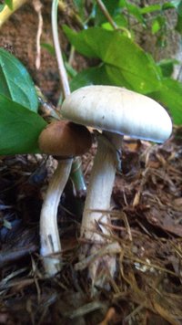 P_20200908_072646.jpg
