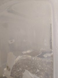 IMG_20200908_155946.jpg