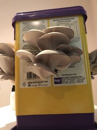 IMG_4959.jpg