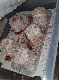 20200908_200708.jpg