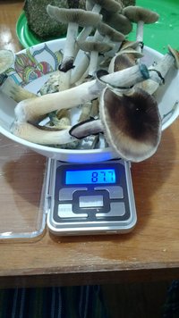 IMG_20200904_132045700.jpg