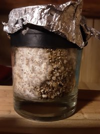 20200909_170437.jpg