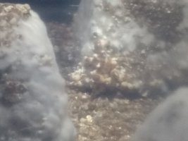IMG_20200909_221214912.jpg