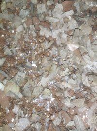 IMG_20200910_203226.jpg