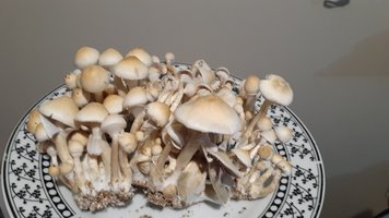 20200912_211037.jpg