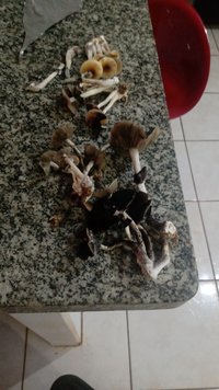 IMG-20200912-WA0113.jpeg