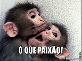 que-paixo.jpg