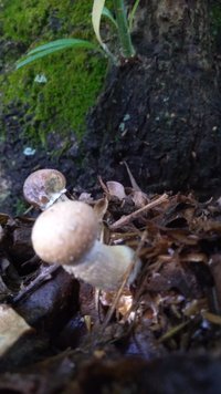 P_20200915_073911.jpg
