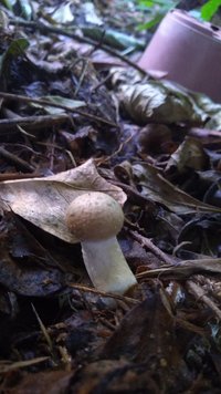 P_20200915_073954.jpg
