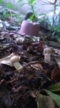 P_20200915_073934.jpg