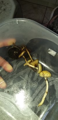 20200917_161507.jpg