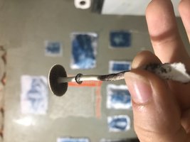 IMG_0708.jpeg