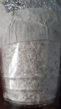 20200921_155117.jpg