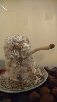 P_20200921_202818.jpg