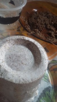 20200922_171345.jpg