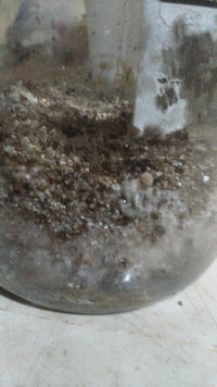 IMG-20200925-WA0054.jpeg