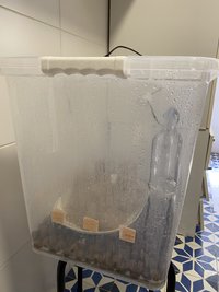 IMG_2277.JPG