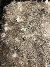 IMG_2282.JPG