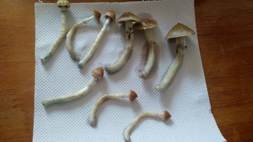 IMG_20200930_120326669.jpg