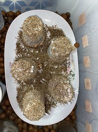 IMG_2303.JPG