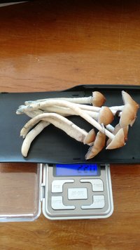 IMG_20201007_101042616.jpg