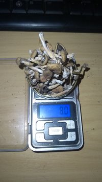 IMG_20201008_220922039.jpg