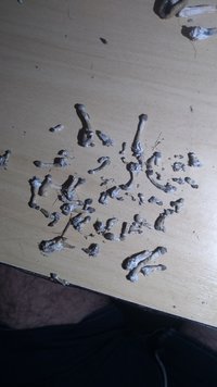IMG_20201008_221322173.jpg