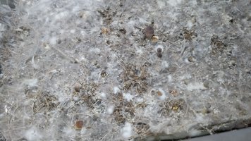 IMG_20201008_222023512.jpg
