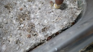 IMG_20201008_222032776.jpg