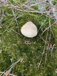 9B8995D7-D516-4452-9662-C5426FF018F2.jpeg